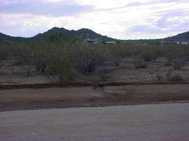 0 West Phillips Road, Unit 73 Surprise, AZ 85379 - Photo 1 of 1 Primary Photo