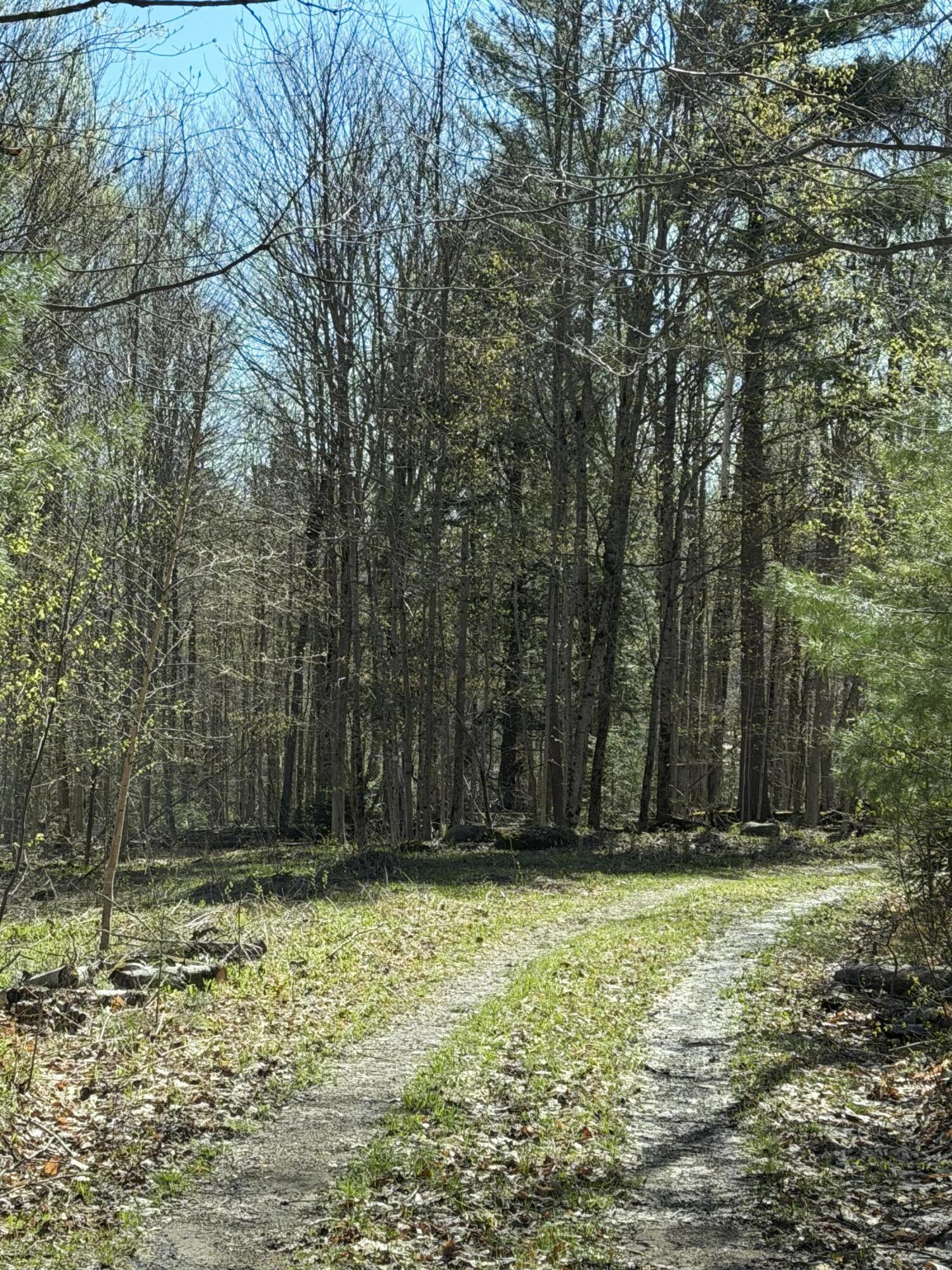 Lot #3 Station Rd-gull Pond Road Tupper Lake, NY 12986 - Photo 3 of 5 Road