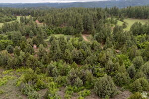 2657 East Oak Tree Drive, Unit 22 Springdale, UT 84767 - Photo 8 of 15 Bird's eye view of a heavily wooded area