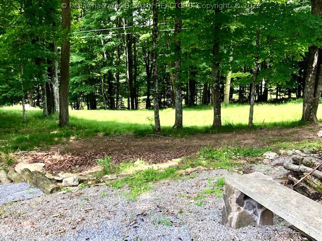 8062 Back Mountain Road Durbin, WV 26264 - Photo 7 of 50 Gallery Image 7