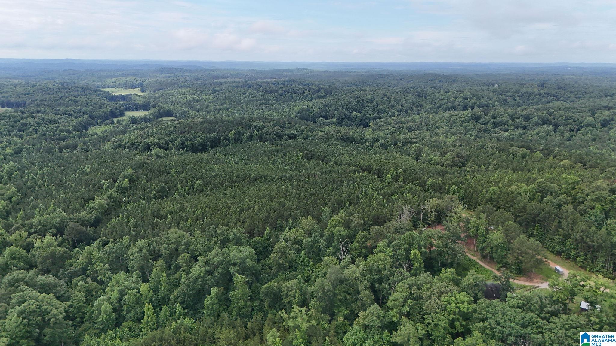 0 Skyview Lake Road Cottondale, AL 35453 - Photo 19 of 22