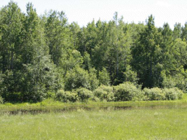 3555 Shingle Mill Road Pelican Lake, WI 54463 - Photo 6 of 13 Gallery Image 6