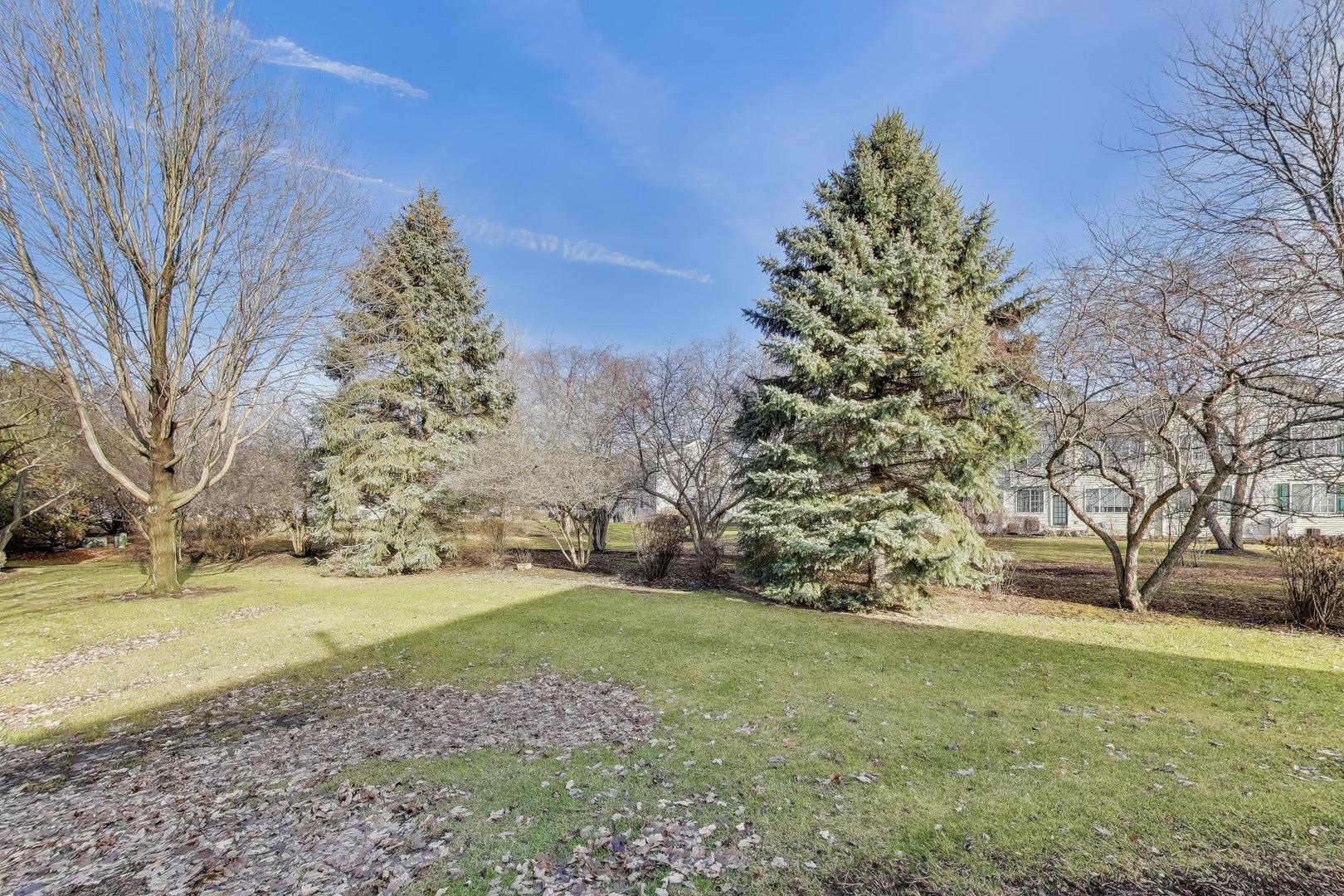 2487 Stonegate Road Algonquin, IL 60102 - Photo 35 of 39 a view of a yard with large trees