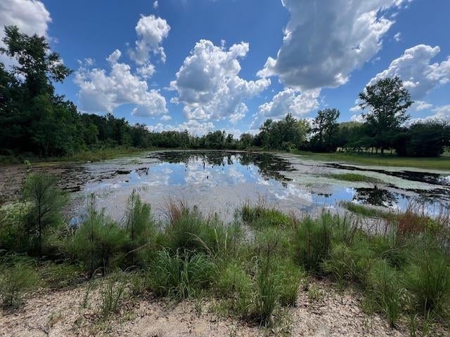 10-ac Laird Road Florala, AL 36442 - Photo 8 of 21 Gallery Image 8