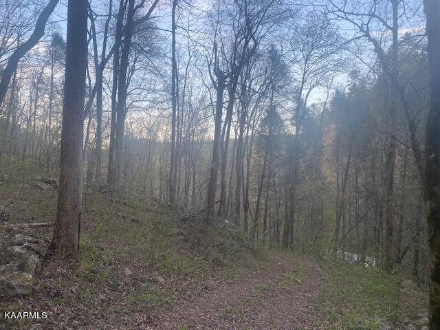 7.68-acres Ellis Creek Road Reliance, TN 37369 - Photo 6 of 10 webb 2