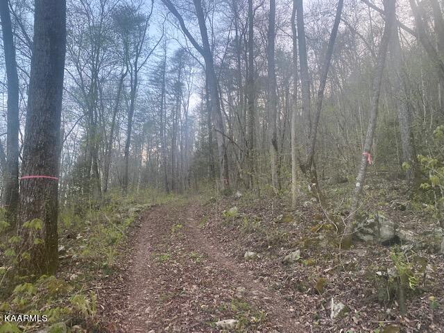 7.68-acres Ellis Creek Road Reliance, TN 37369 - Photo 8 of 10 webb 4