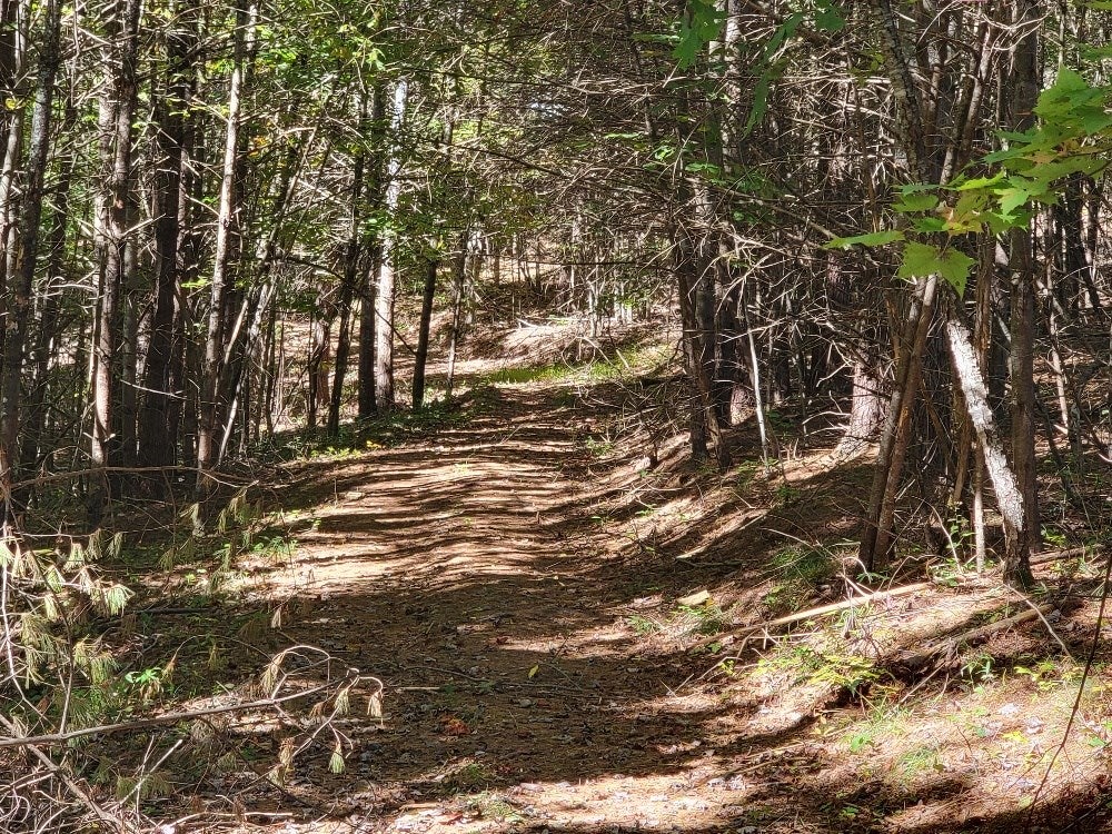 45-a-24 Ivanhoe Road Fries, VA 24330 - Photo 7 of 13 Gallery Image 7