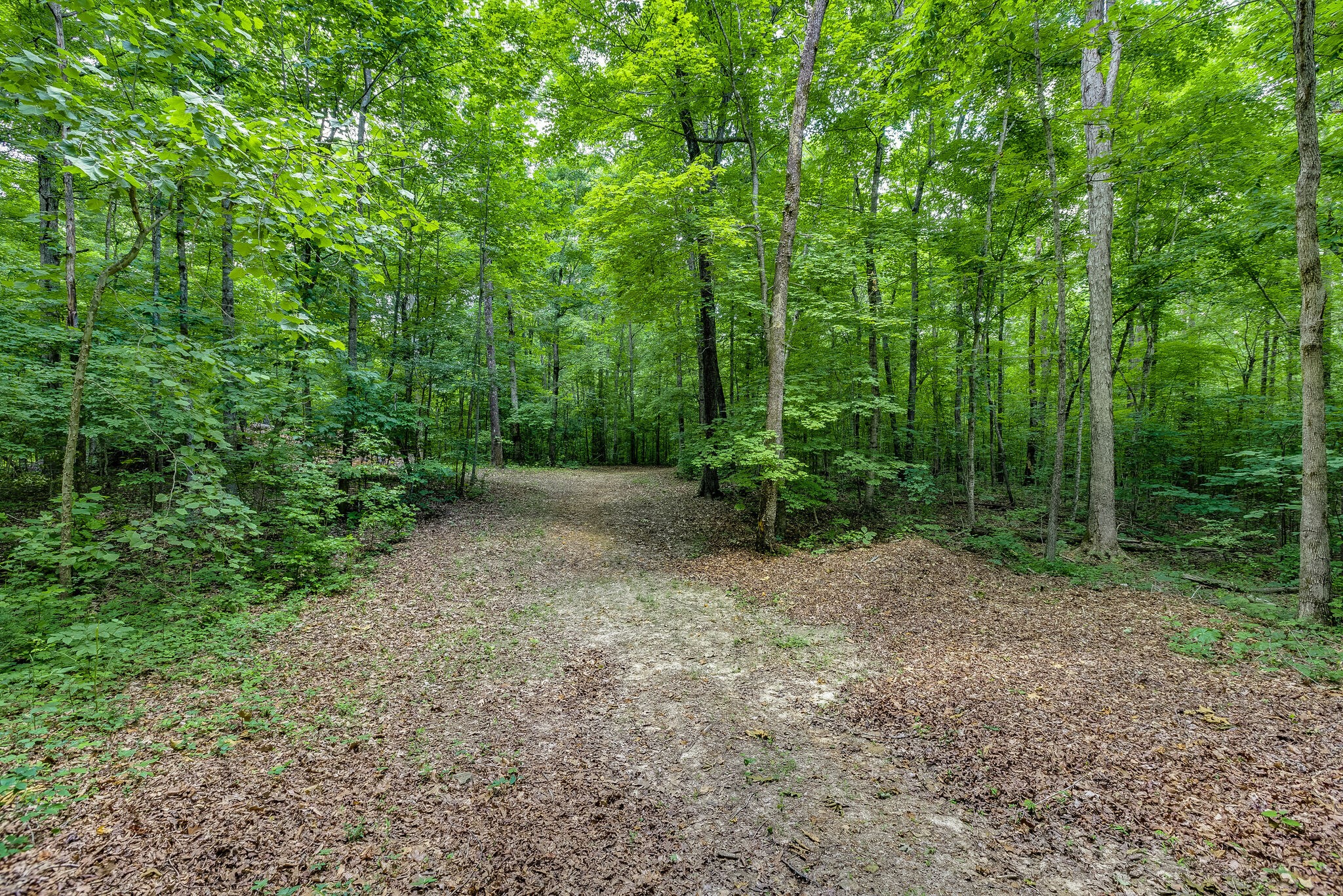 1064 Westfield Road Dickson, TN 37055 - Photo 65 of 69 Gallery Image 65