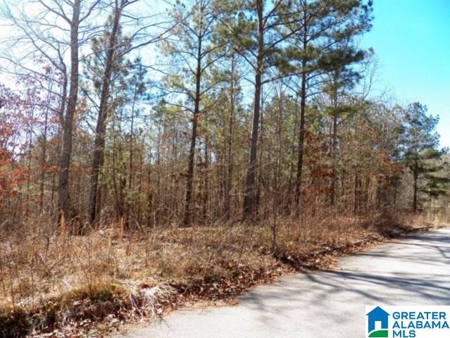 245 Covington Rdg Drive, Unit 34 Jacksonville, AL 36265 - Photo 8 of 11