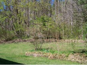 319 Emory Church Road Kingsport, TN 37664 - Photo 12 of 13 Back yard