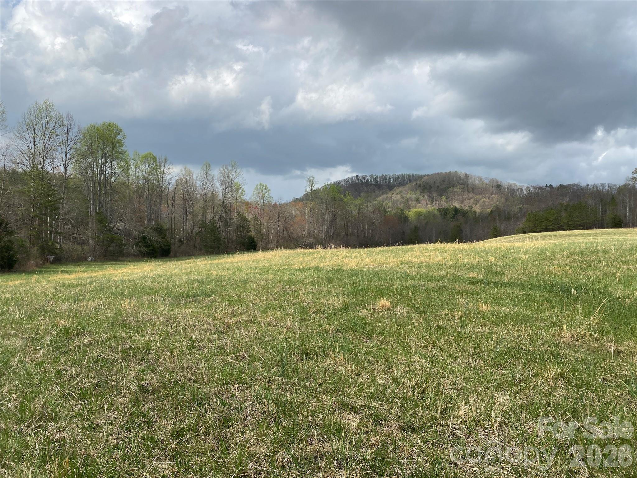 0 Cane Creek Mountain Road, Unit 2 Bostic, NC 28018 - Photo 3 of 10