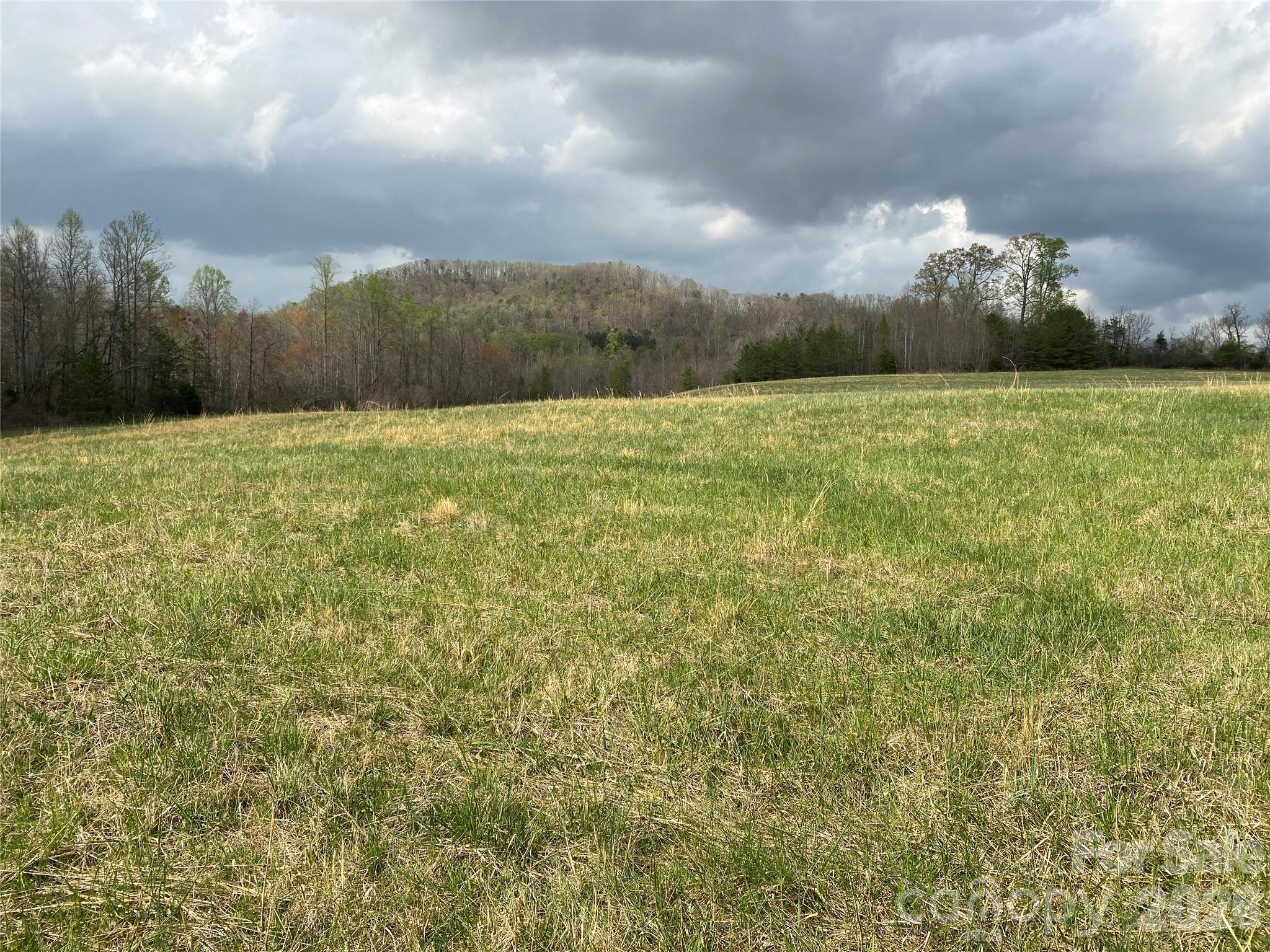 0 Cane Creek Mountain Road, Unit 2 Bostic, NC 28018 - Photo 5 of 10