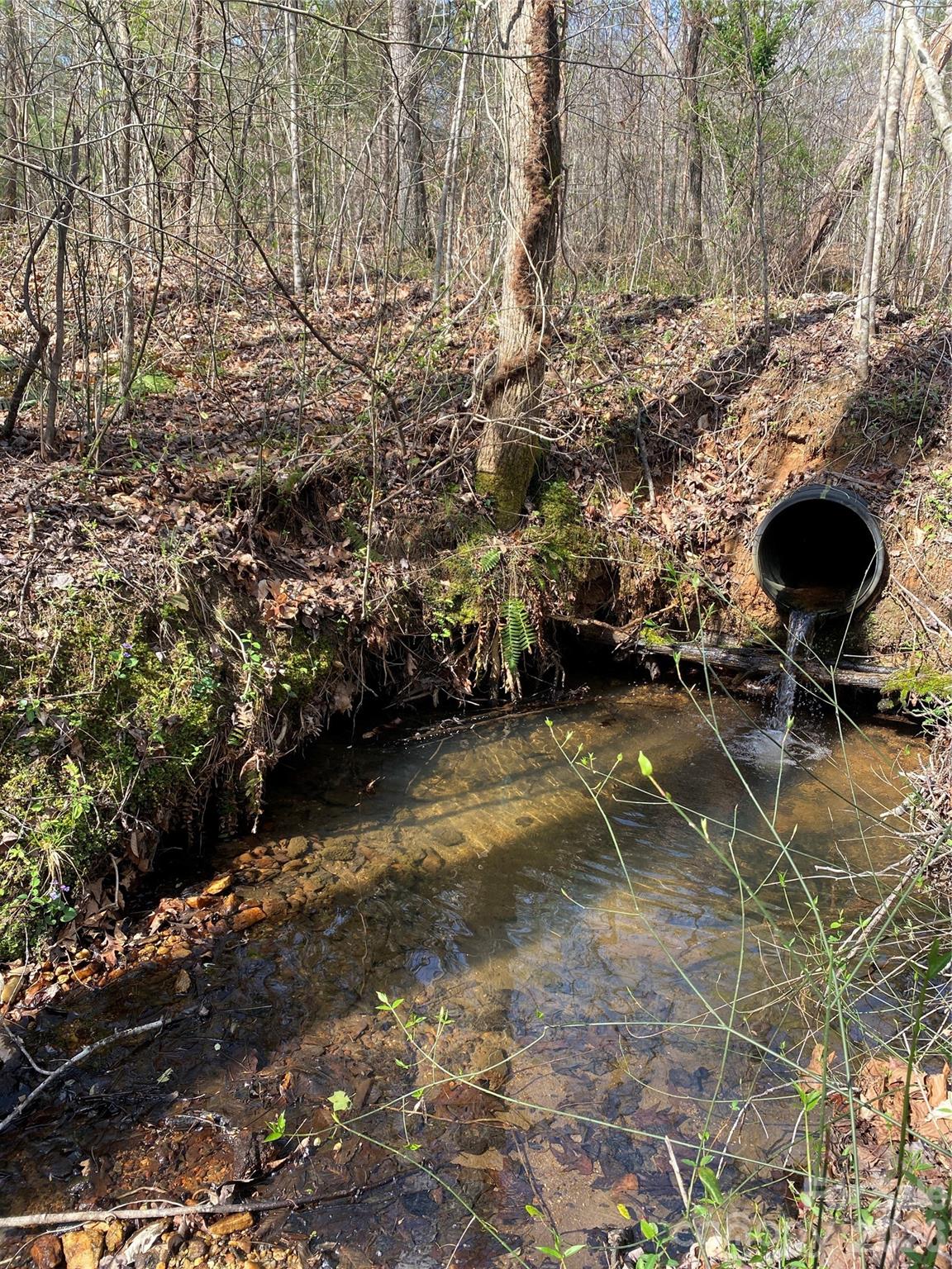 0 Cane Creek Mountain Road, Unit 2 Bostic, NC 28018 - Photo 6 of 10
