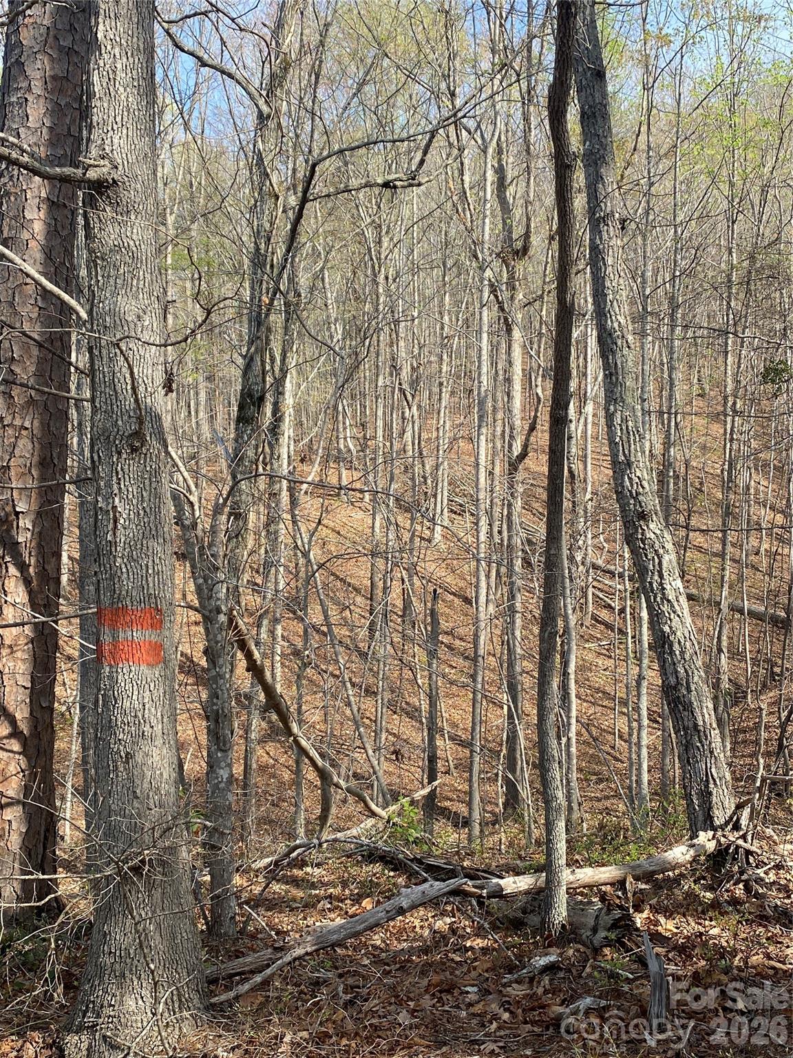 0 Cane Creek Mountain Road, Unit 2 Bostic, NC 28018 - Photo 7 of 10