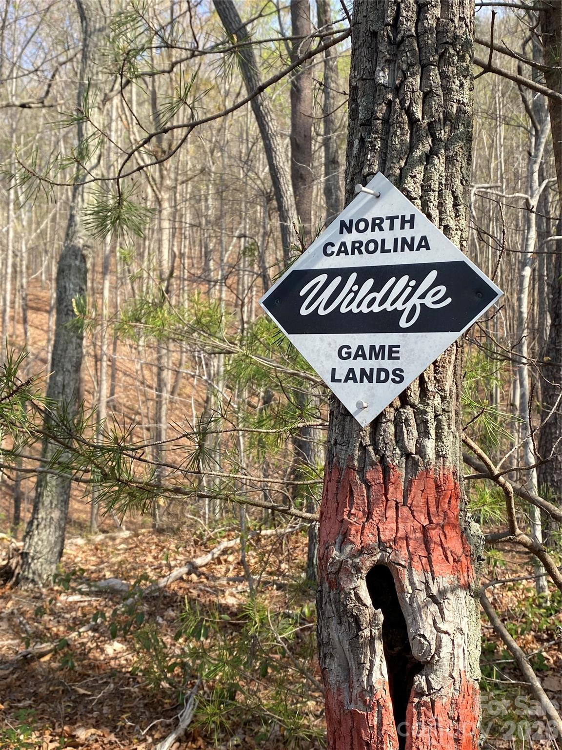 0 Cane Creek Mountain Road, Unit 2 Bostic, NC 28018 - Photo 8 of 10