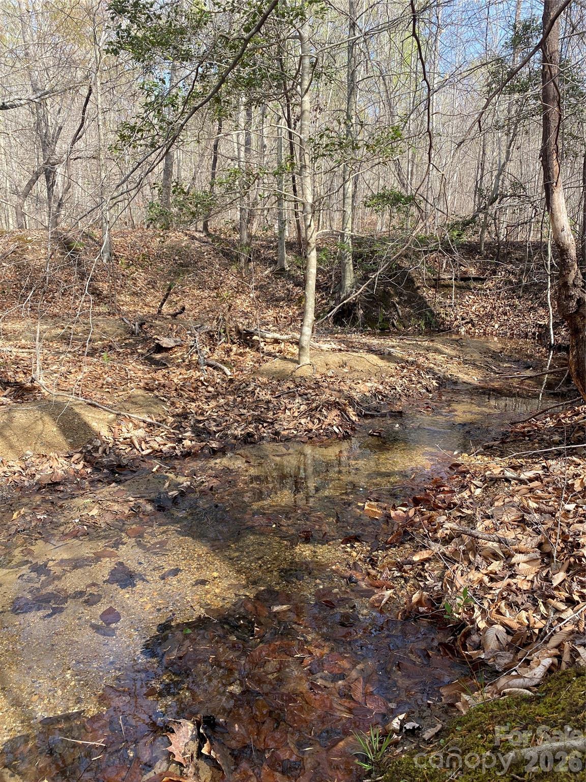 0 Cane Creek Mountain Road, Unit 2 Bostic, NC 28018 - Photo 9 of 10