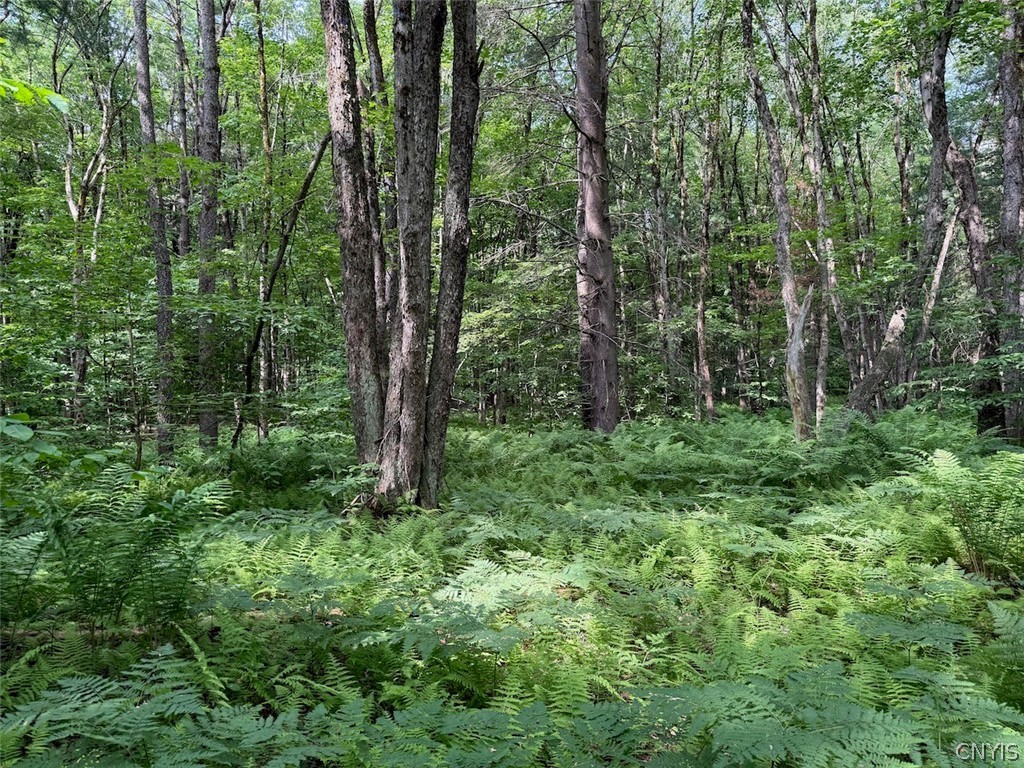206 Durgee Road Orwell, NY 13302 - Photo 5 of 10 Gallery Image 5