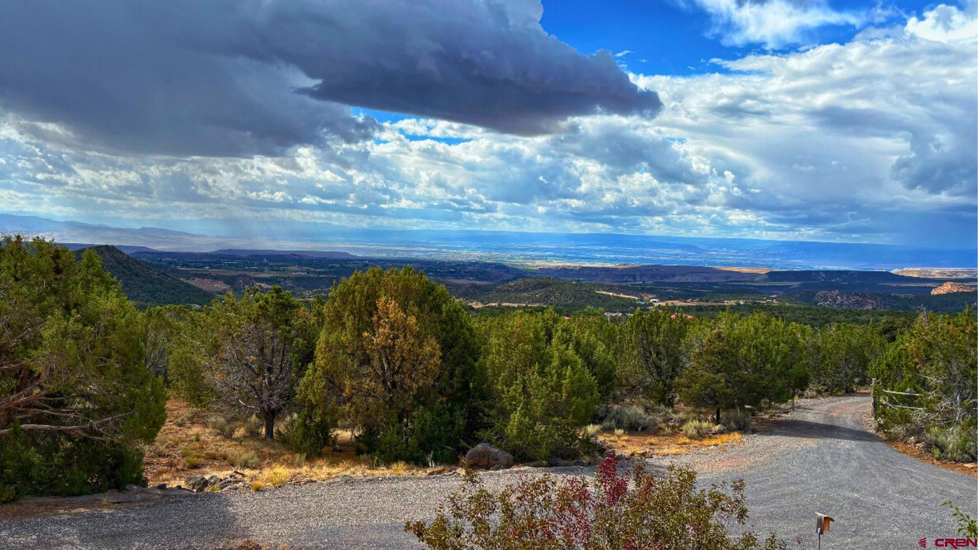 20508 Green Valley Road Cedaredge, CO 81413 - Photo 39 of 42 a view of a yard