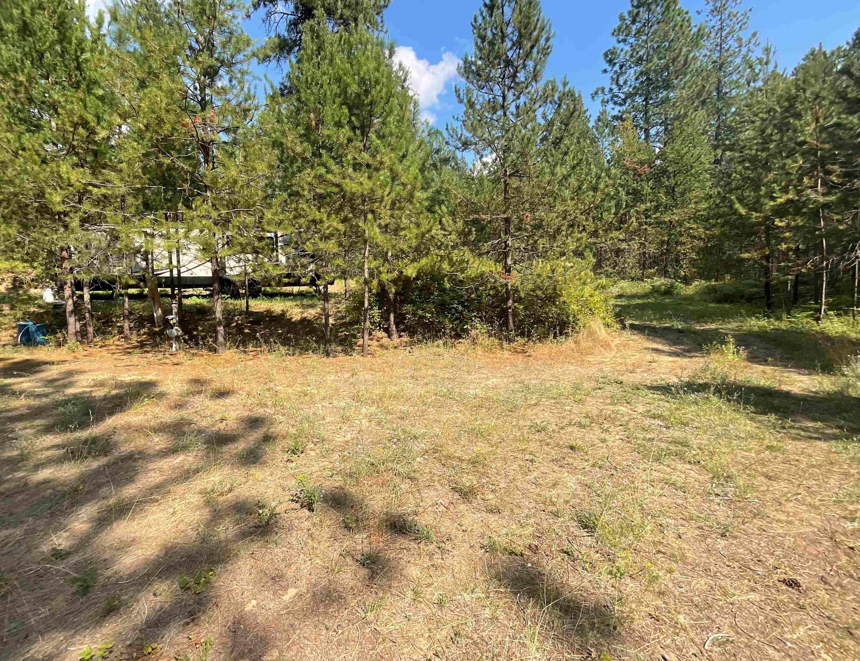 151 Frost Loop Newport, WA 99156 - Photo 3 of 11 Gallery Image 3