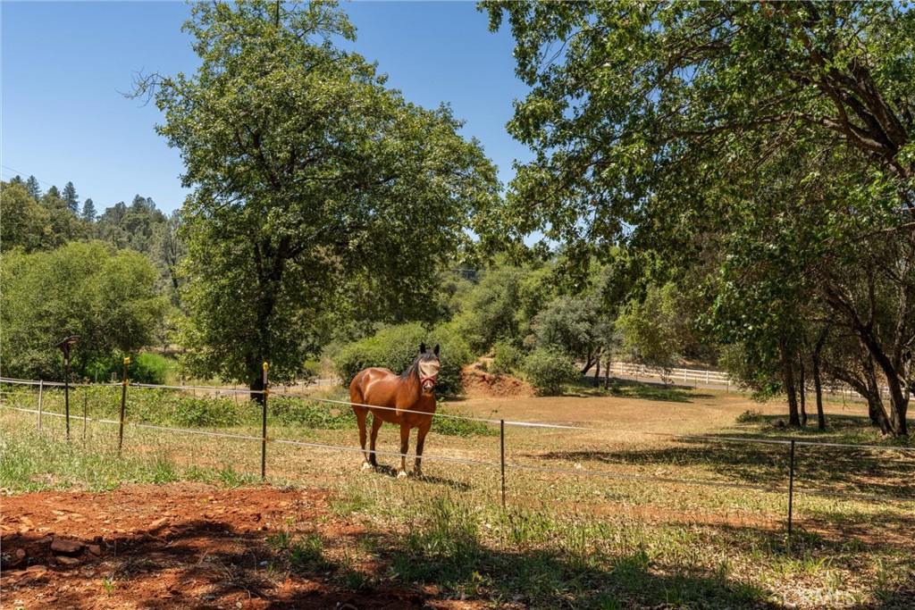 3463 Cherokee Road Oroville, CA 95965 - Photo 26 of 35