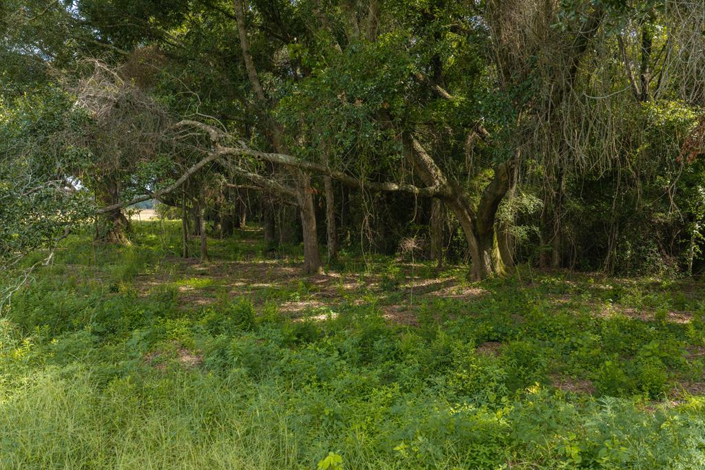 24 Eddins Road Dothan, AL 36301 - Photo 15 of 26