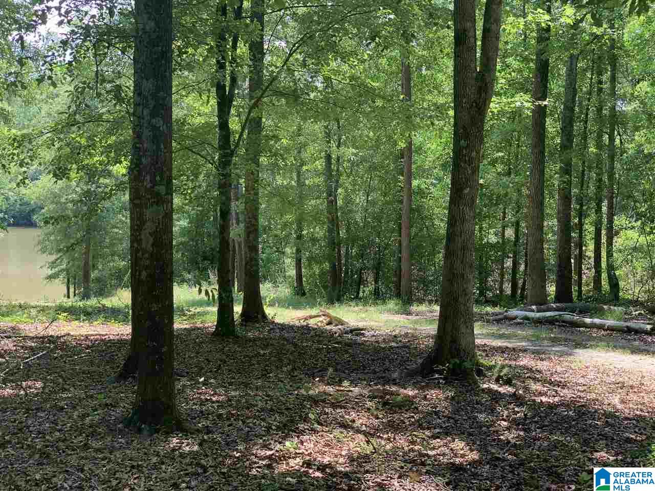 4 Highway 431, Unit 4 Heflin, AL 36264 - Photo 4 of 6