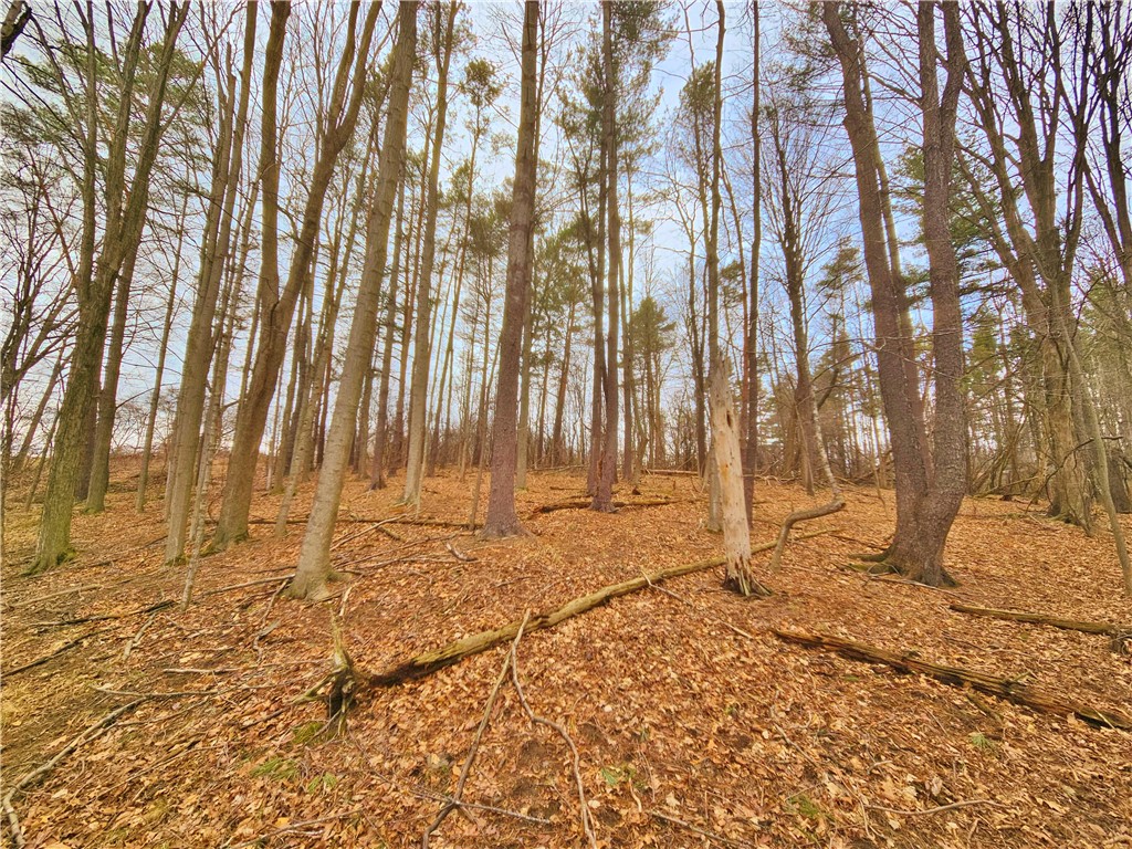 2130 Guyanoga Road Jerusalem, NY 14527 - Photo 24 of 26
