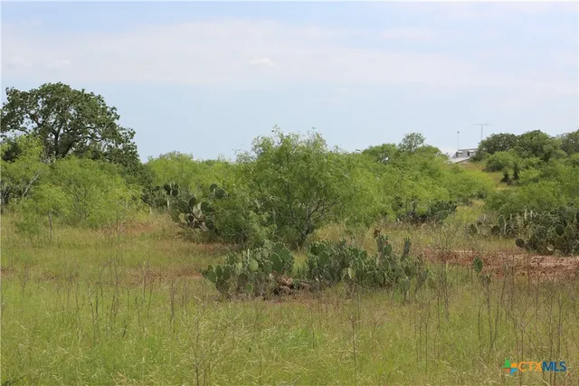 $700,000 | 974 Cr 451 Waelder Tx 78959, Waelder, TX 78959