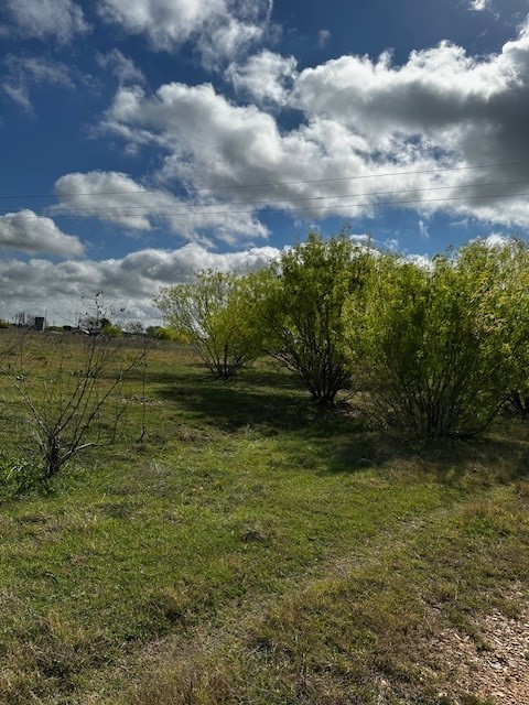 3507 Oil Field Road Bellville, TX 77418 - Photo 12 of 15 a view of a yard
