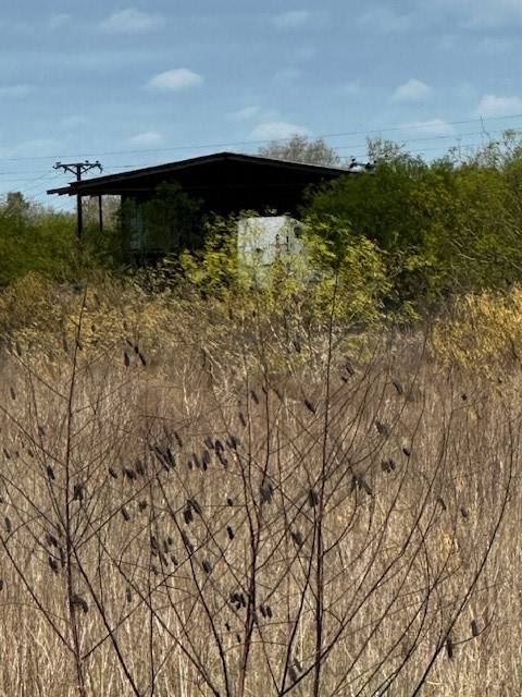 3507 Oil Field Road Bellville, TX 77418 - Photo 9 of 11