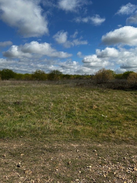 3507 Oil Field Road Bellville, TX 77418 - Photo 10 of 15 a view of lake