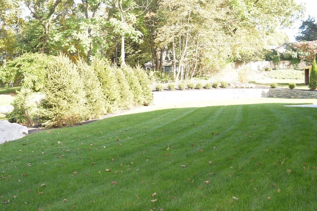 12 Ruane Circle Newton, MA 02465 - Photo 4 of 5