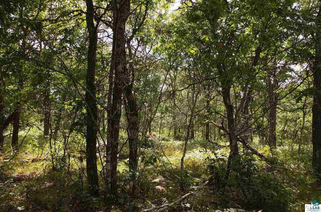 12915 South Flamang Road Gordon, WI 54838 - Photo 7 of 15 Ready! Set! Hunt!