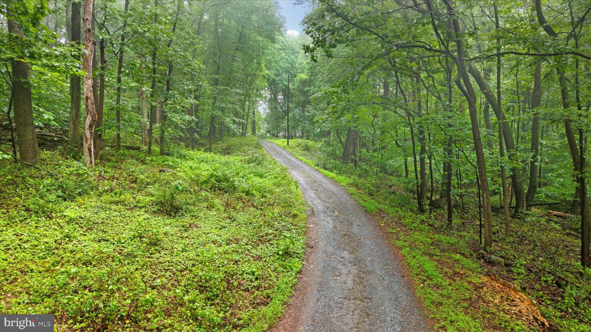 810 Moores Mountain Road Lewisberry, PA 17339 - Photo 22 of 31 Gallery Image 22