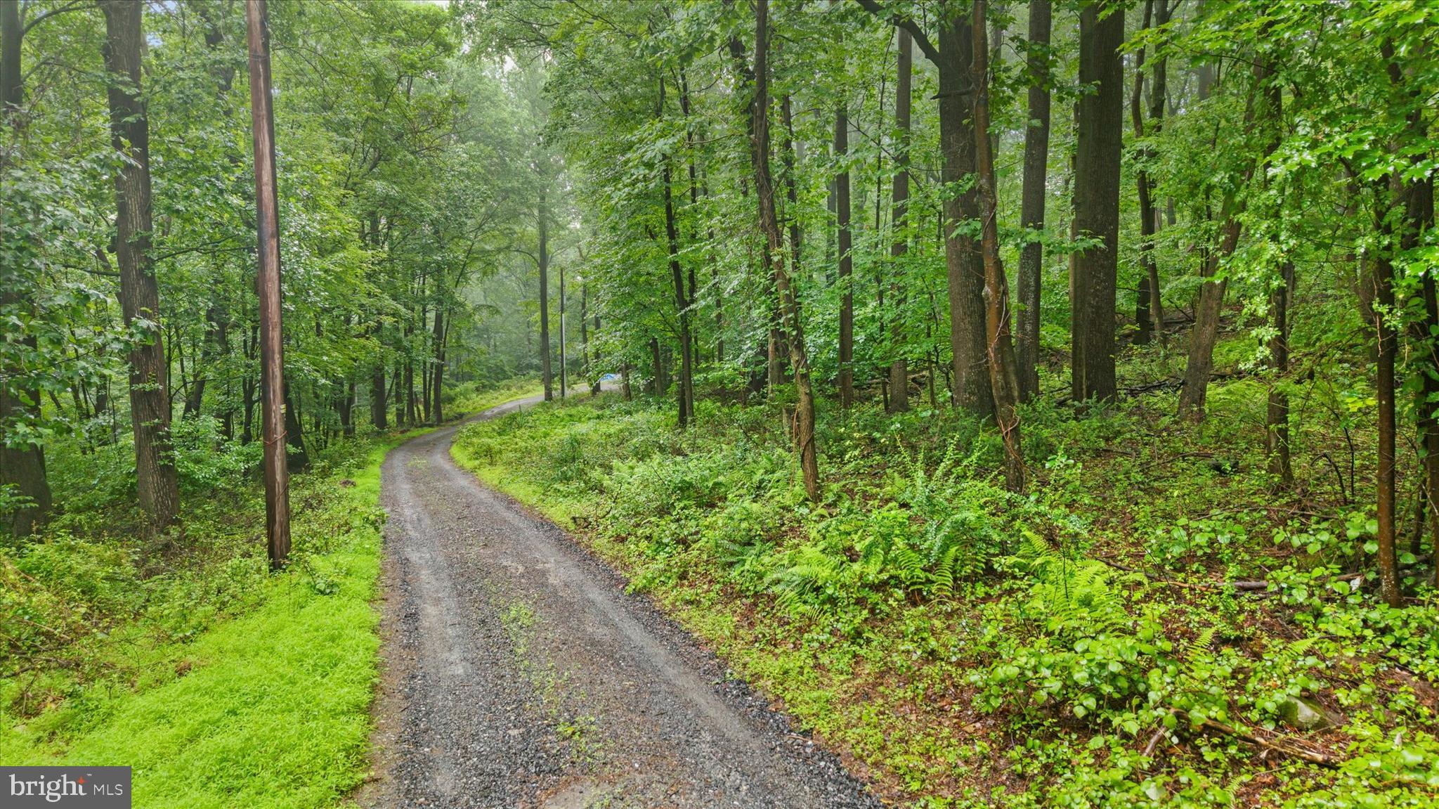 810 Moores Mountain Road Lewisberry, PA 17339 - Photo 23 of 31 Gallery Image 23