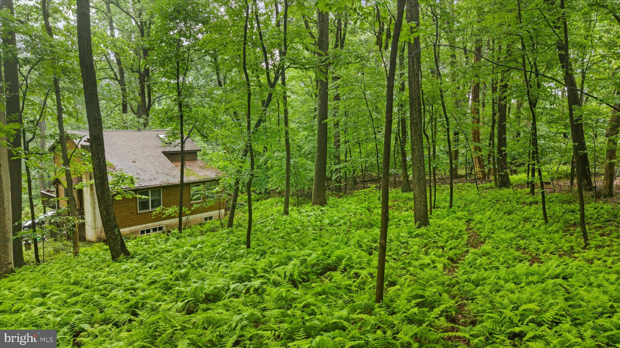 810 Moores Mountain Road Lewisberry, PA 17339 - Photo 26 of 31 Gallery Image 26