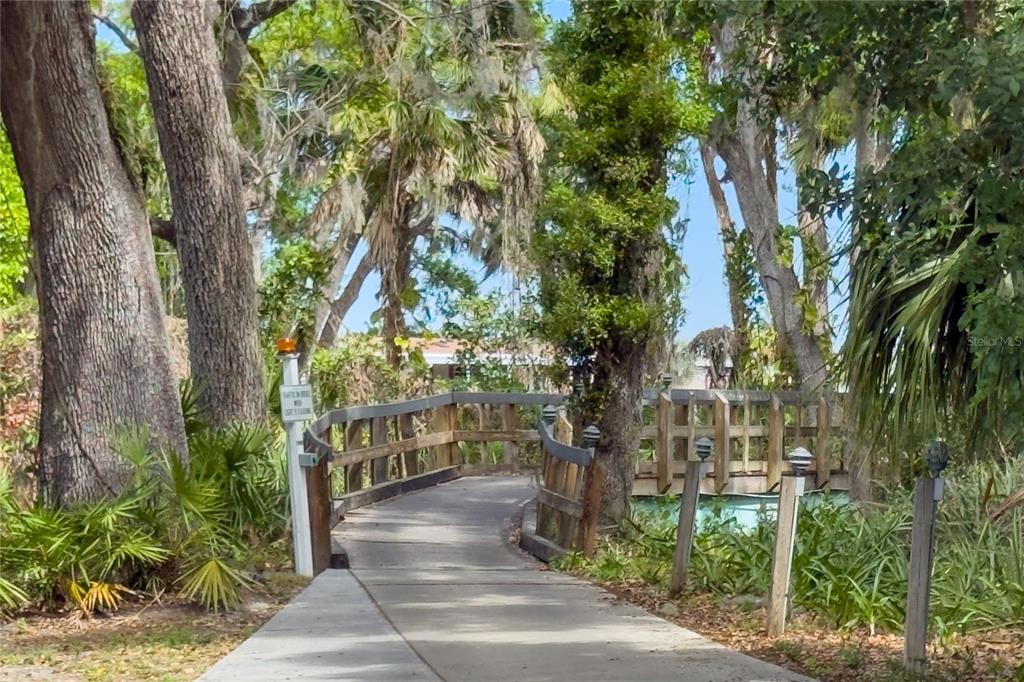 8307 Nancy Lane Ellenton, FL 34222 - Photo 53 of 57 a view of street along with trees