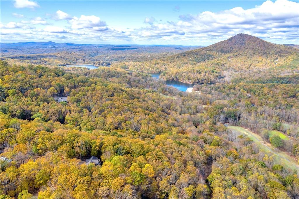 0 Crippled Oak Trail Jasper, GA 30143 - Photo 12 of 33