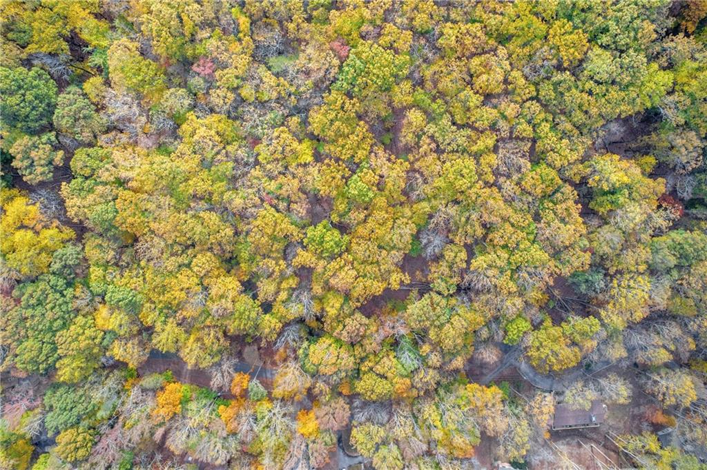 0 Crippled Oak Trail Jasper, GA 30143 - Photo 14 of 33