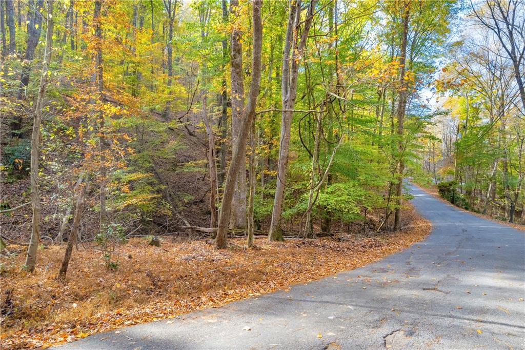 0 Crippled Oak Trail Jasper, GA 30143 - Photo 18 of 33