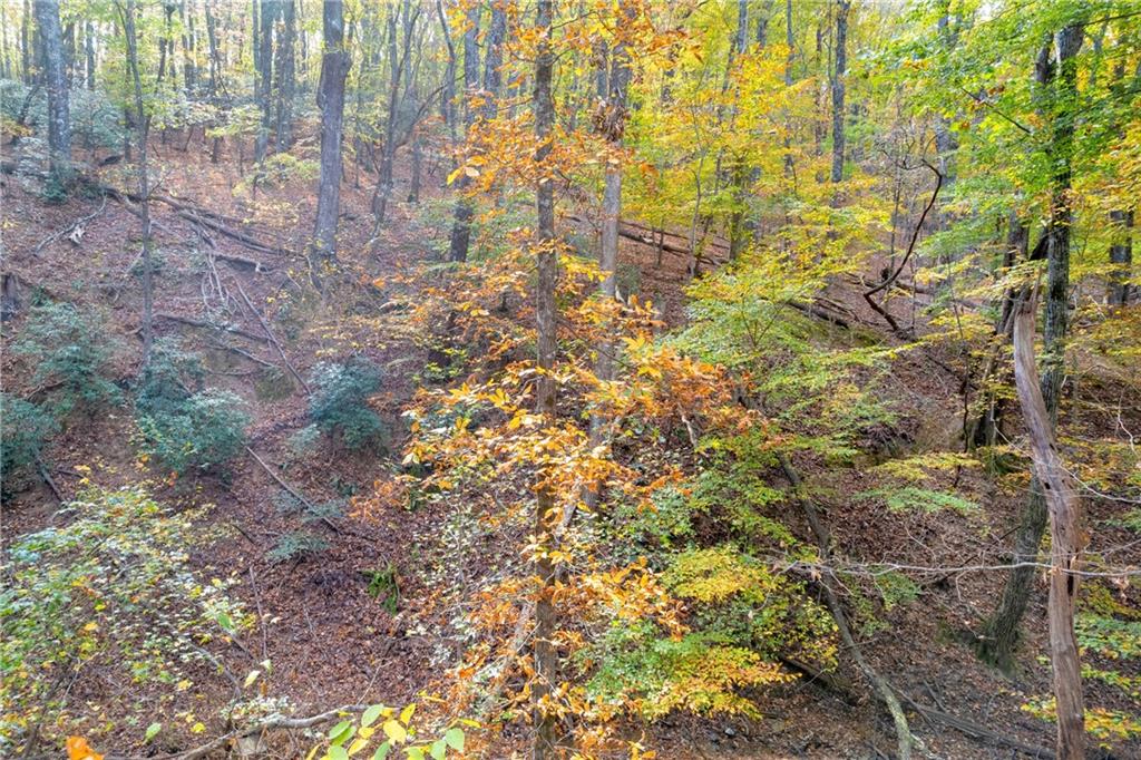 0 Crippled Oak Trail Jasper, GA 30143 - Photo 19 of 33