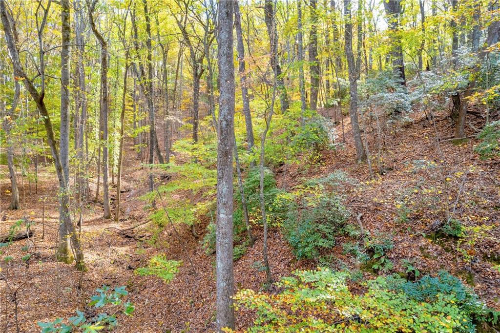 0 Crippled Oak Trail Jasper, GA 30143 - Photo 20 of 33