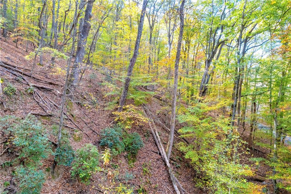 0 Crippled Oak Trail Jasper, GA 30143 - Photo 21 of 33