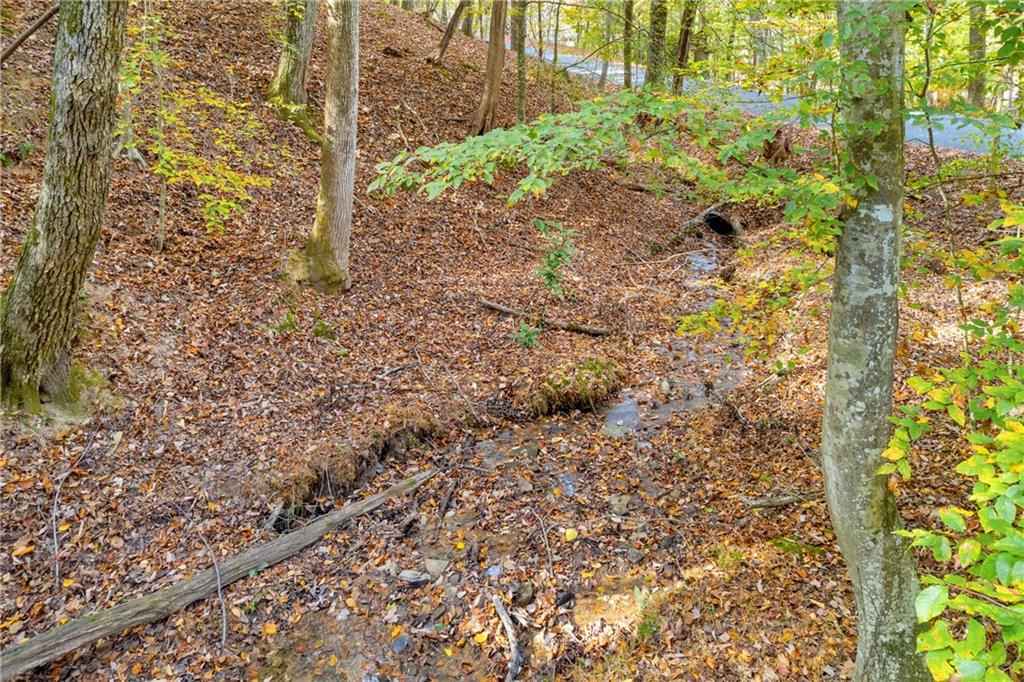 0 Crippled Oak Trail Jasper, GA 30143 - Photo 22 of 33