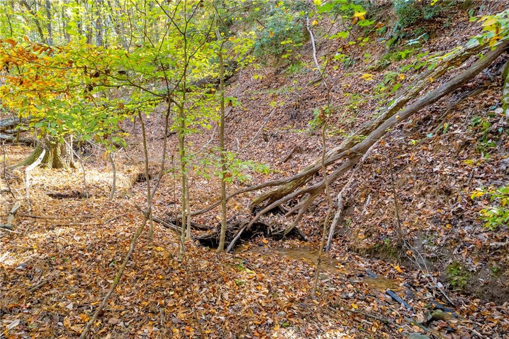 0 Crippled Oak Trail Jasper, GA 30143 - Photo 23 of 33