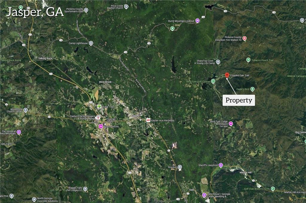 0 Crippled Oak Trail Jasper, GA 30143 - Photo 3 of 33