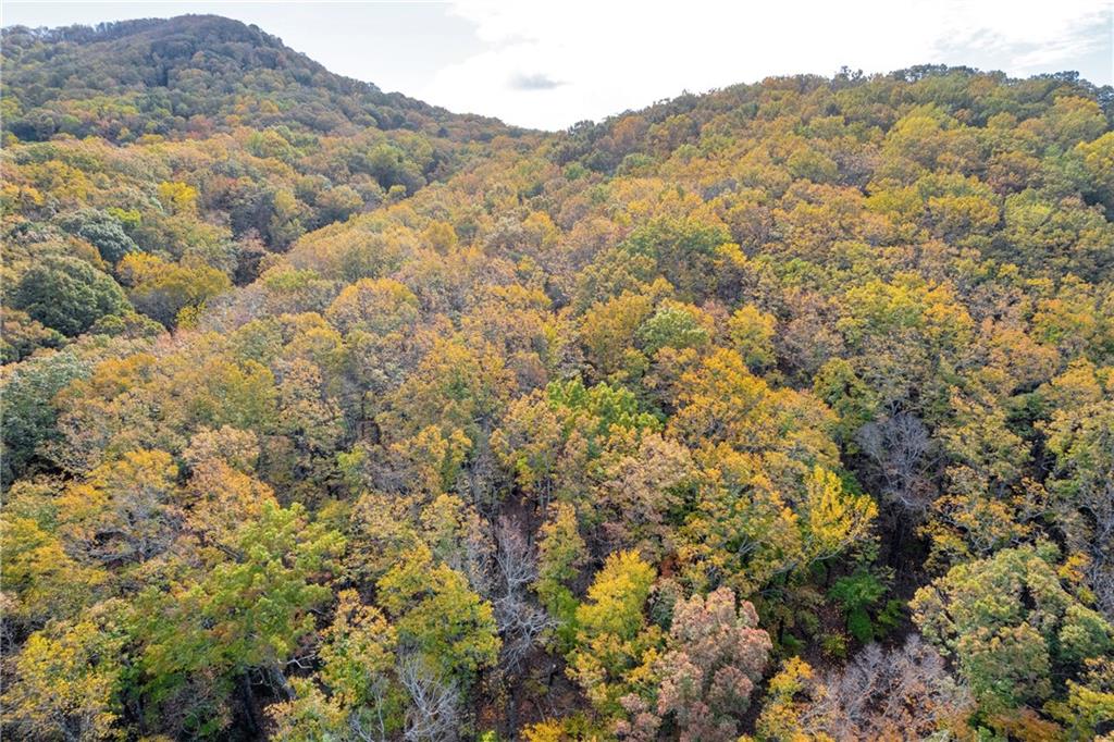 0 Crippled Oak Trail Jasper, GA 30143 - Photo 33 of 33