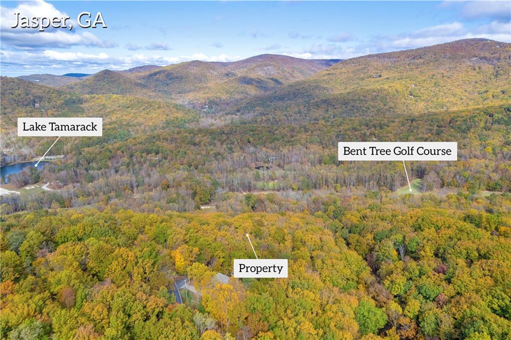 0 Crippled Oak Trail Jasper, GA 30143 - Photo 8 of 33