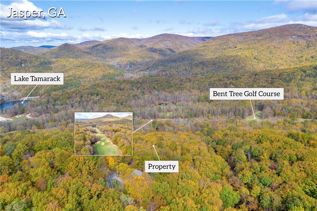 0 Crippled Oak Trail Jasper, GA 30143 - Photo 9 of 33