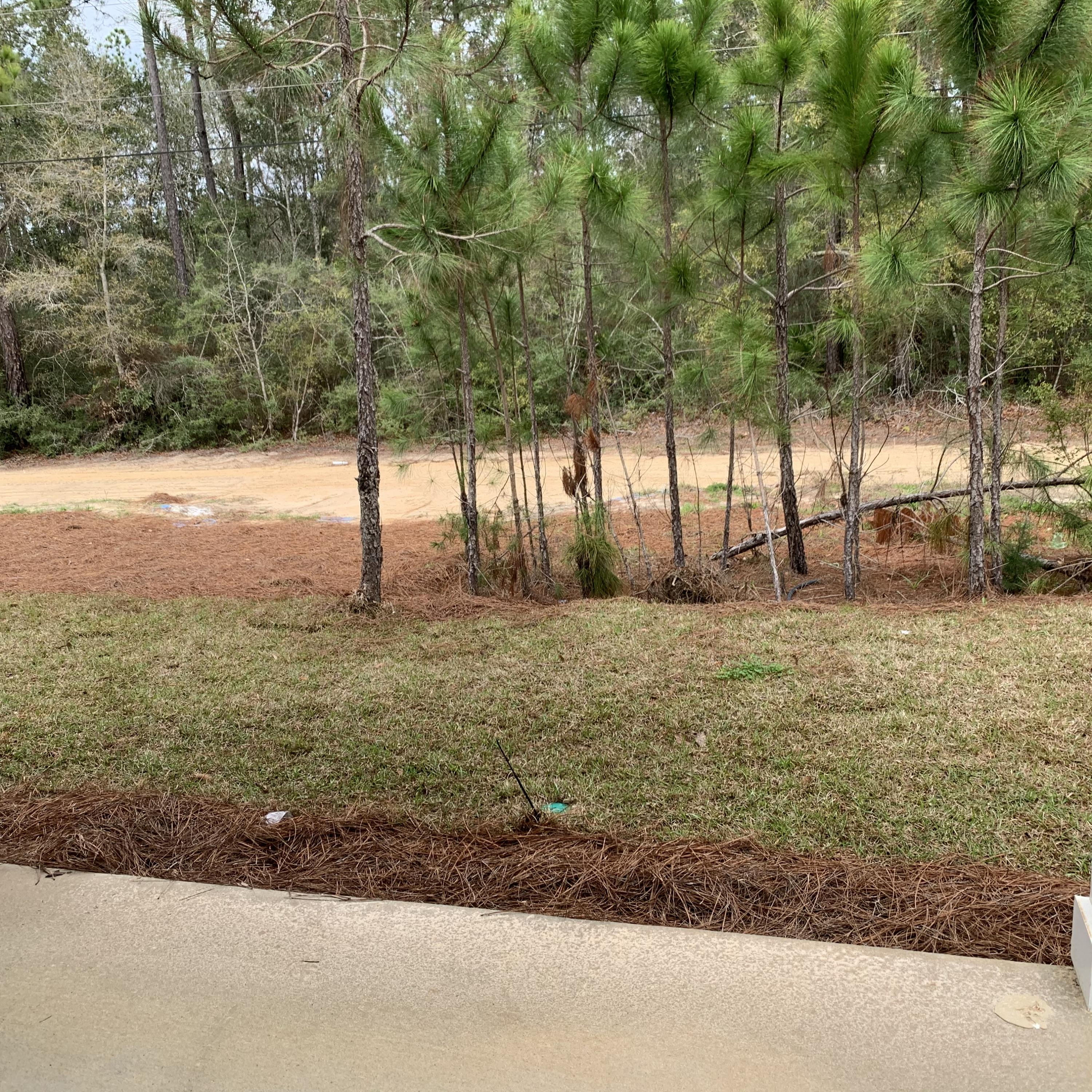 142 North Sand Palm Road Freeport, FL 32439 - Photo 11 of 26 a view of yard with trees